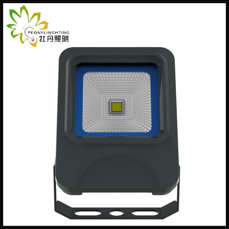 2019 Newest 5 Years Warranty LED 10W Flood Lighting with COB Chip