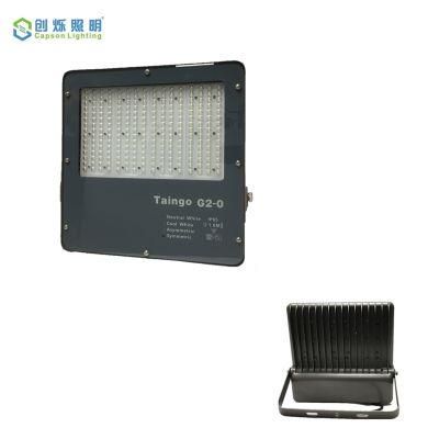 Project LED Lighting 3years Warranty Outdoor Flood Light IP65 Floodlight (CS-YHTG1-200)