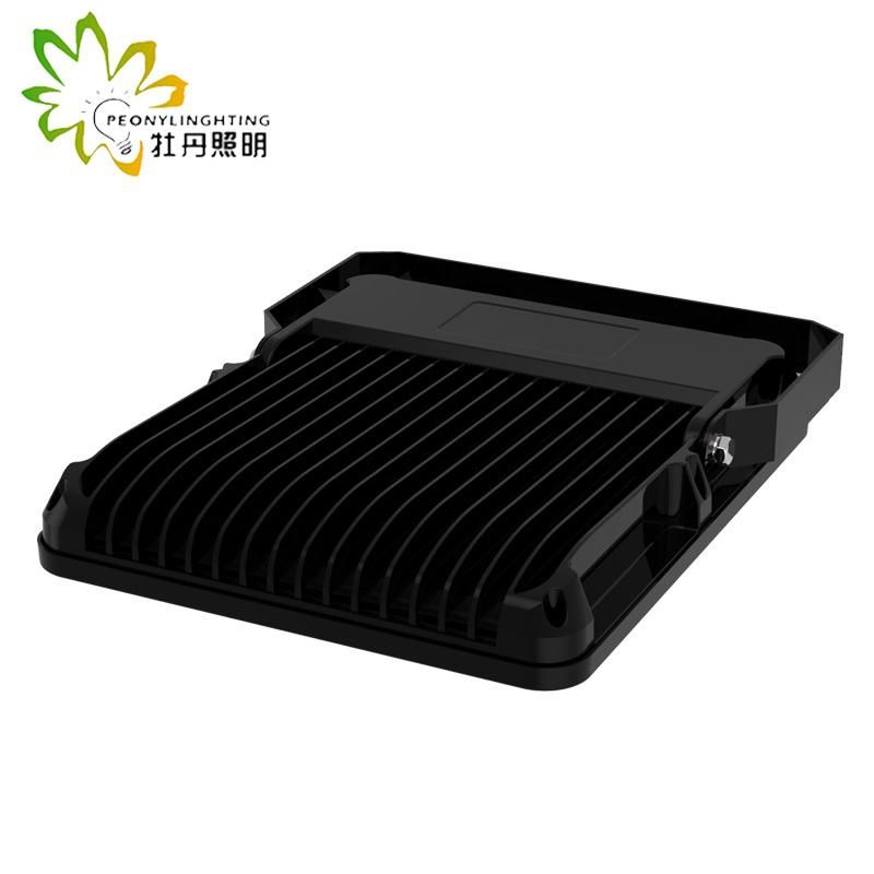2019 Newest 5 Years Warranty LED 100W Flood Lighting with COB Chips