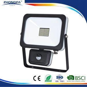 Ce EMC RoHS Outdoor LED Security Light