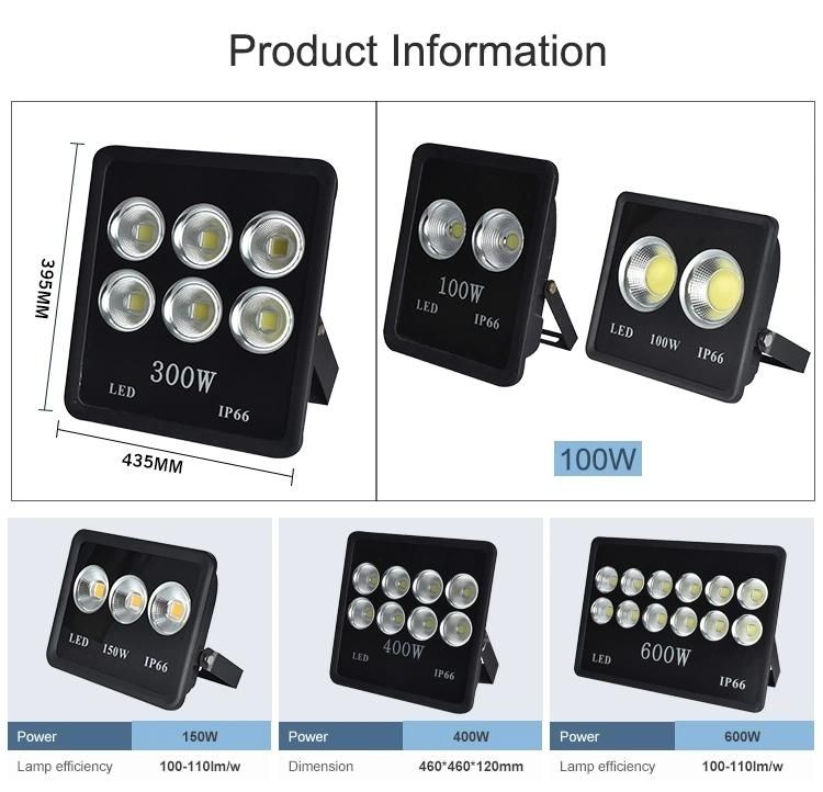 High Power Outdoor COB IP65 Waterproof 100W LED Flood Light