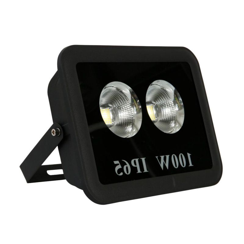 Esavior 100W LED Panel Flood/Street/ Garden/Outdoor Security Lights with TUV/CB/CE/Rosh Certificate COB Series