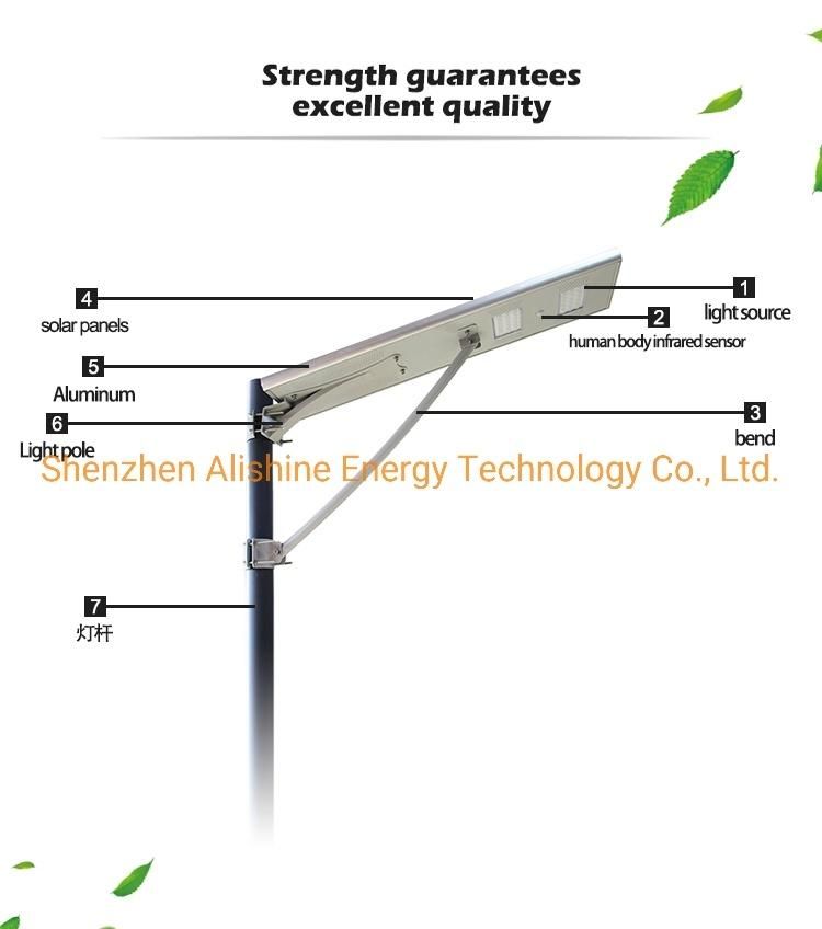 30W Outdoor Garden Lamp Products LED Lighting Solar Street Light
