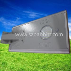 Mini Solar Panel for LED Light/ Outdoor Lighting Solar Garden Light