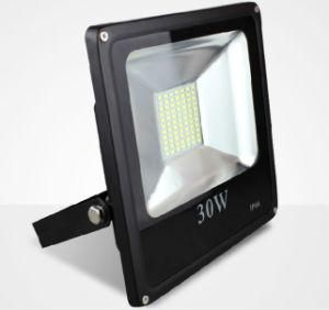 Waterproof 30W LED Floodlight