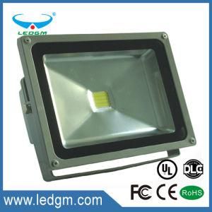 IP65 Waterproof Lampada Faro a LED Da 30W Lights