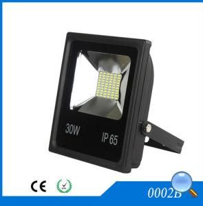 30W LED Floodlight SMD Projection Light LED Light