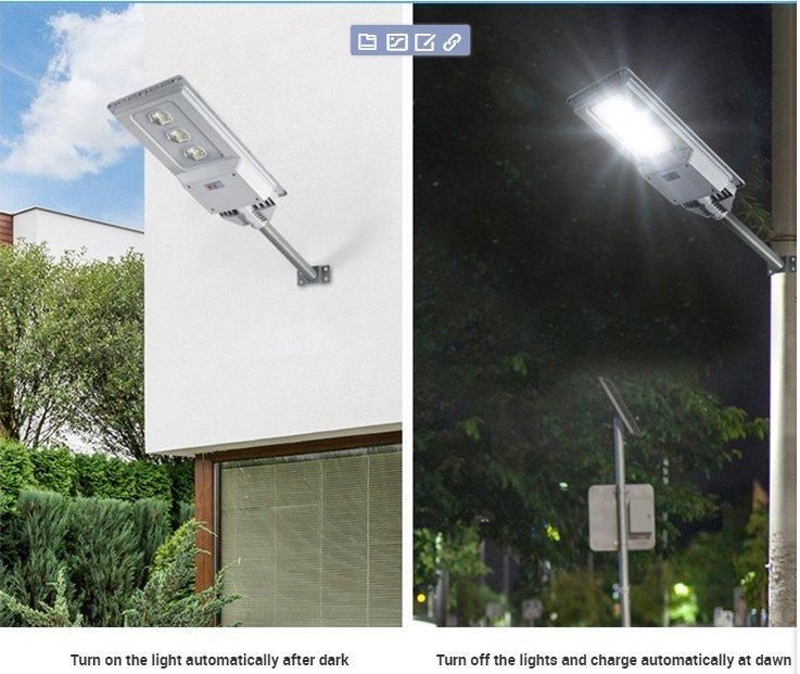 Bspro Company All in One Lamp IP65 Waterproof Integrated Outdoor Solar LED Street Light