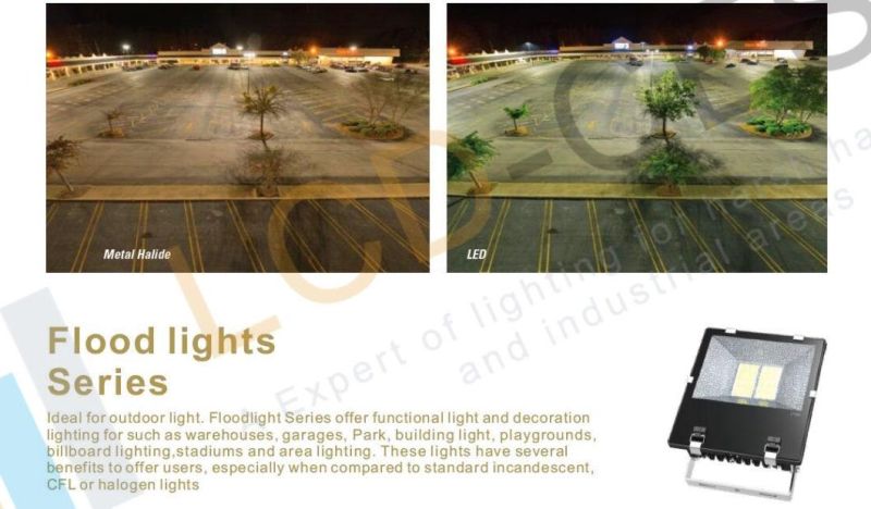 LED Light Manufacturing Directly Exterior Outdoor Flood Light for Tunnel with Lumileds LEDs and TUV MW Driver with Ce 10W2/20W/30W/50W/80W/100W/120W/150W/200W