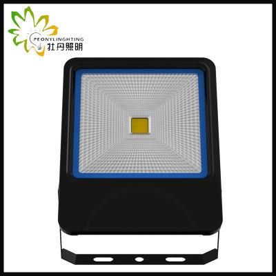 2019 Newest 5 Years Warranty LED 50W Flood Lighting with COB Chips
