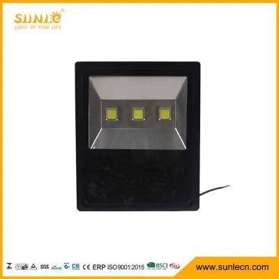 Super Brightness 150W COB LED Flood Lamp Outdoor Light