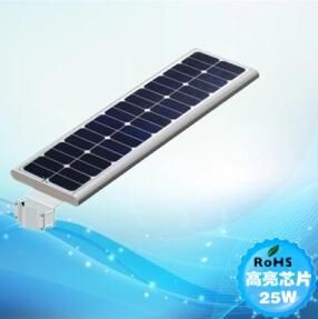 25W Solar Light