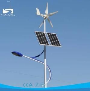 50W Wind Solar Hybrid LED Street Light Lamp