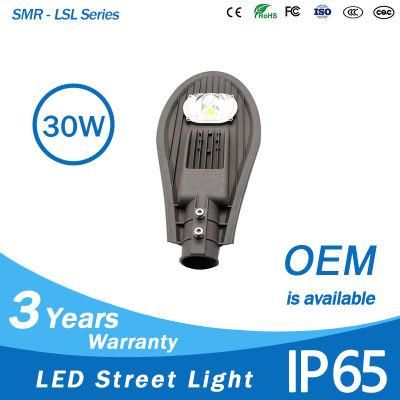 New Products LED Lamp 30W IP65 COB LED Street Light Manufacturer in China Outdoor Lighting