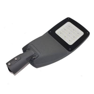 100W Customizable LED Lamps for Road