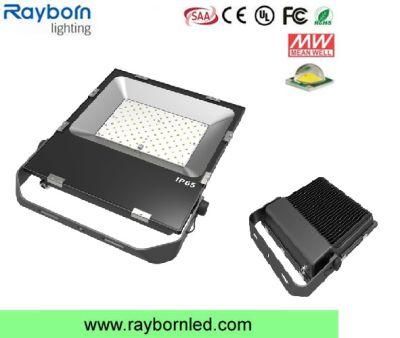 Full Aluminum Heat Sink Commercial Lighting LED Flood Light (RB-FLL-100WS)