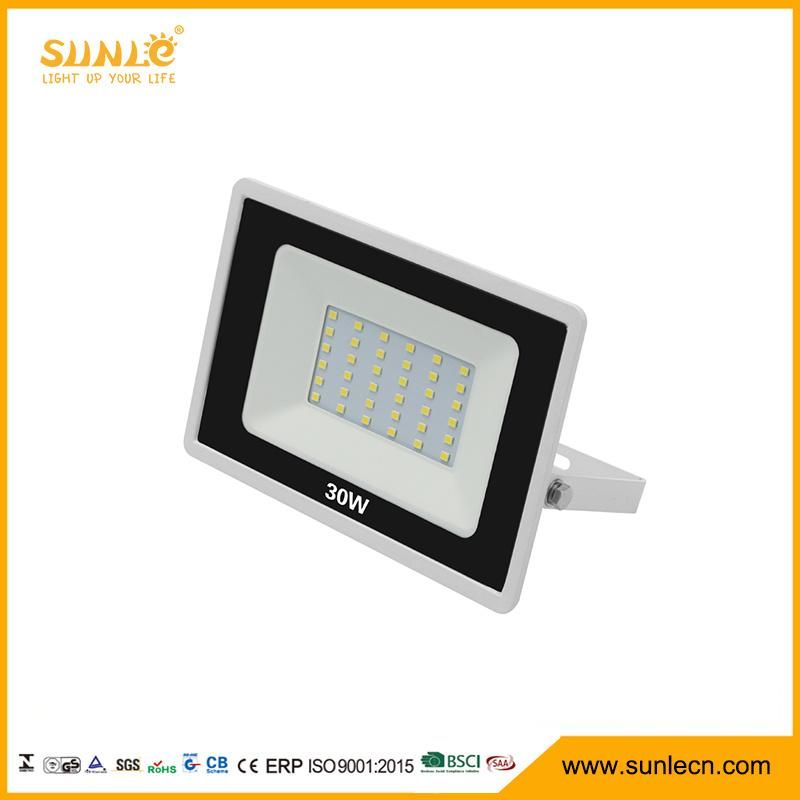 Two Color Ce Waterproof 30W LED Flood Light for Outdoor Lighting