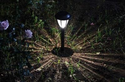 Ala 5W Good Quality Waterproof Light Outdoor LED Garden Light