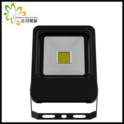 2019 Newest 5 Years Warranty LED 20W Flood Lighting with COB Chips