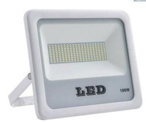 LED Flood Light