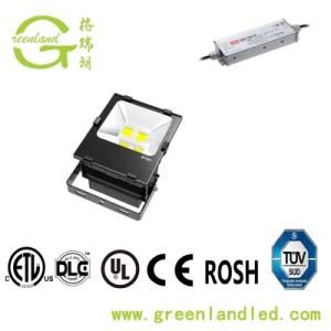 COB LED Flood Light with Meanwell Driver High Lumen IP65 Waterproof