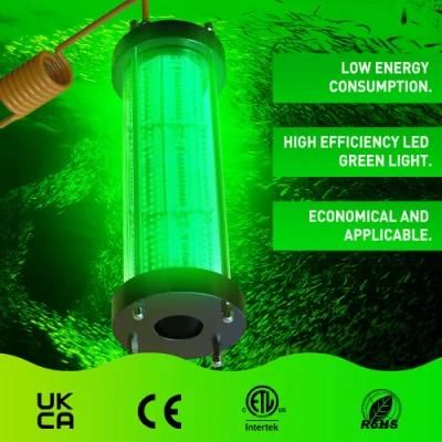 Most Popular 1000W LED Fishing Light