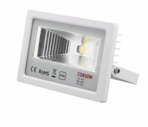 LED Flood Light Outdoor High Power LED COB Flood Lights