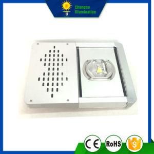 50W LED Apple Street Light