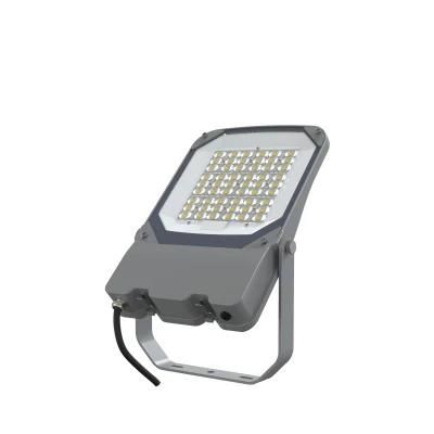 High Efficiency Light 170lm/W 75W for Landscape Lighting with MW Driver