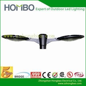 Professional Manufactor 60W LED Garden Light Outdoor Light (HB035-05)