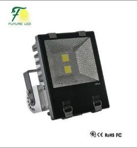100W Flood Light for Outdoor