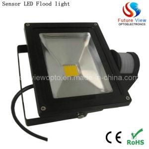 High Efficiency 30W IP65 Outdoor Flood Light LED (FV-PIR-30W)