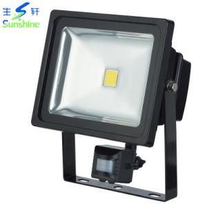 30W LED Outdoor Lighting/LED Flood Light with CE CB SAA GS RoHS