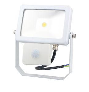 IP 65 Outdoor COB LED Flood Lamp with Inductor /Strong Waterproof in Park 10W