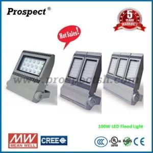 10W 30W 50W 70W 100W 120W 150W 200W Outdoor LED Flood Light CREE Chip Mean Well Driver