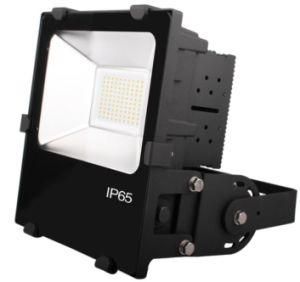 LED Flood Light