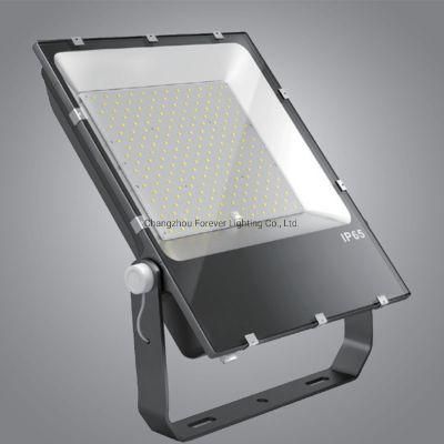 New Design Garden LED Lamp IP65 Price Outdoor 200W 300W LED Flood Light