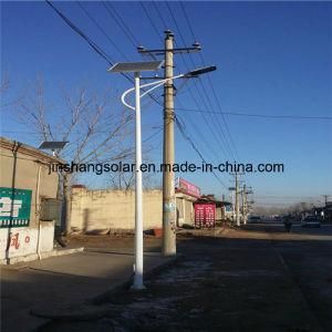 20W--150W Solar Street Light with Solar Panel, Controller and Battery (JINSHANG SOLAR)