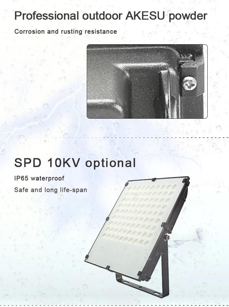 China Explosion Proof Smart Limited IP65 50W 100W 150W LED Outdoor RGB Aluminum Design Floodlight Flood Light