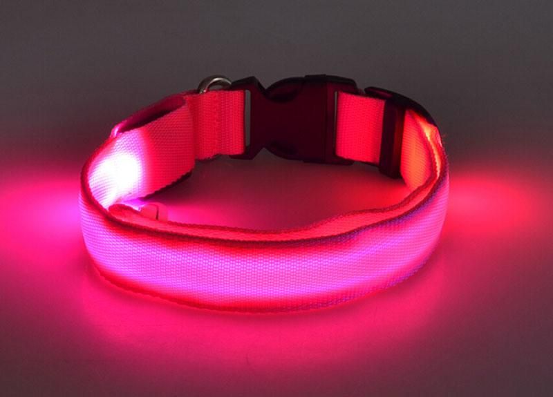 S M L Pet Dog Cat Anti Lost LED Necklace Safe Warning Flash Necklet Light Lock