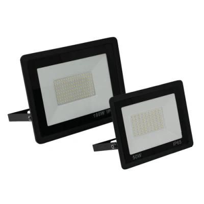 2021 High Qualitycob RGBW Marine Glass Flood Lampwithtwo Dob LED Flood Light