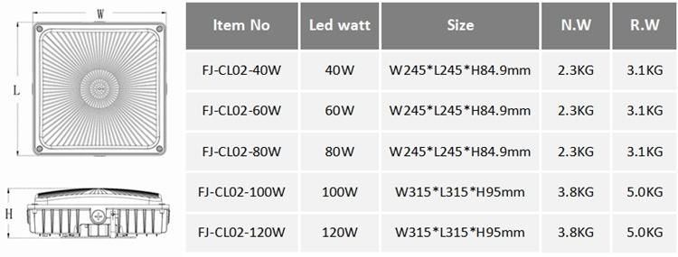 Atex Certified Petrol Station Lighting Fixtures LED Oil Station Canopy Lamp