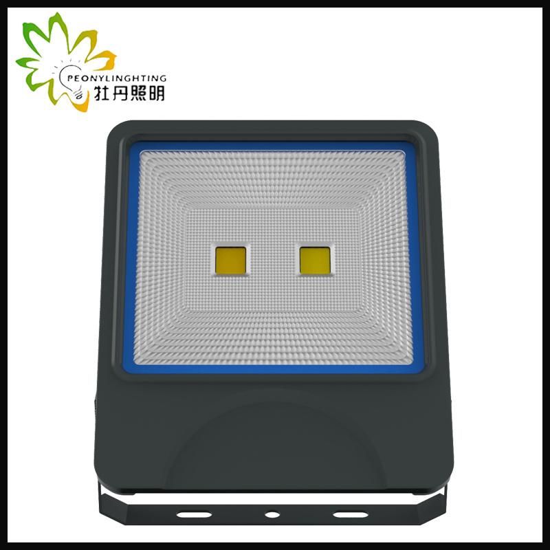 2019 Newest 5 Years Warranty LED 100W Flood Lighting with COB Chips