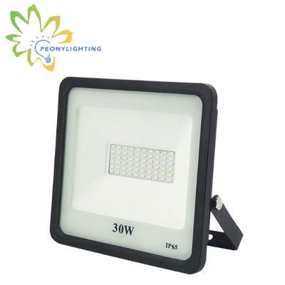 30W LED Flood Light with 110lm/W SMD Chips Floodlight
