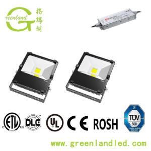 Integrated Design Meanwell Driver IP65 High Quality 100W LED Flood Light