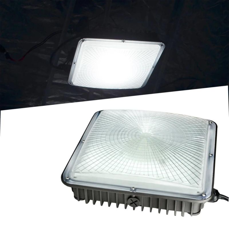 High Quality Explosive-Proof Recessed Canopy Light Fixtures 50W