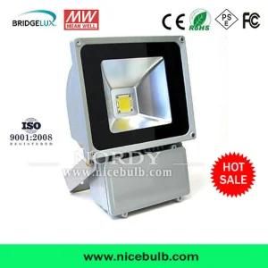 5years Warranty Meanwell Driver Outdoor 100W LED Floodlight