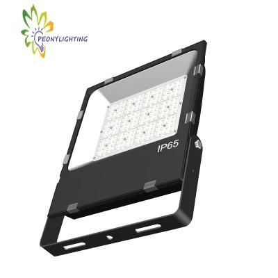 100W Outdoor IP65 5 Years Warranty Stadium LED Flood Light Advertising Lamp