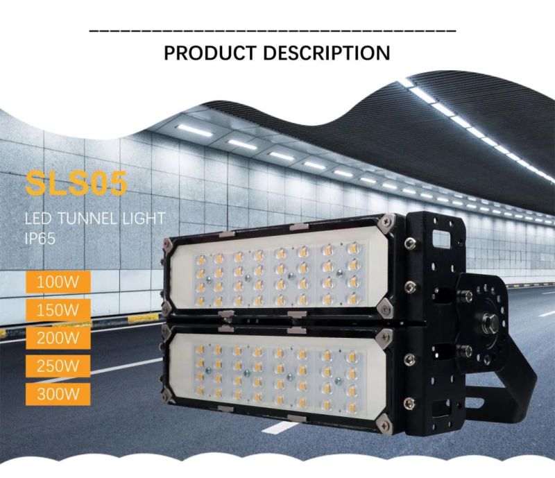 30W-200W Road Project Lighting IP66 LED Flood Lights 5 Years Warranty 120-140lm/W Stadium Lighting Lamp LED Tunnel Lights Park Advertising Light