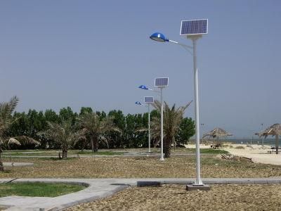 40W IP65 LED 7m Solar Street Light